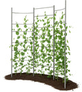 Vertical Metal Trellis