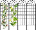 Iron Arch Garden Trellis