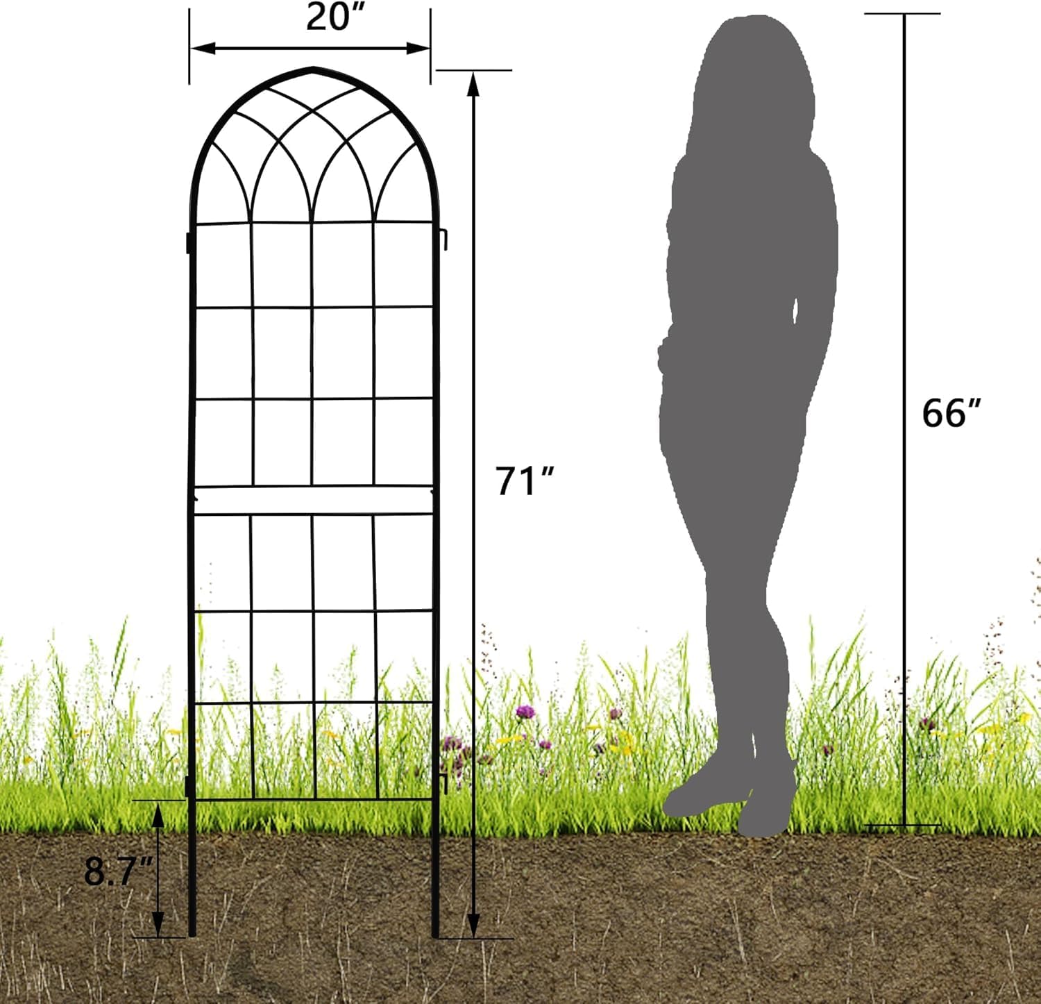 Iron Arch Garden Trellis