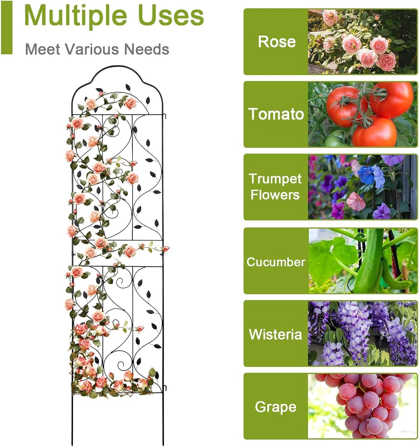 Metal Garden Trellis
