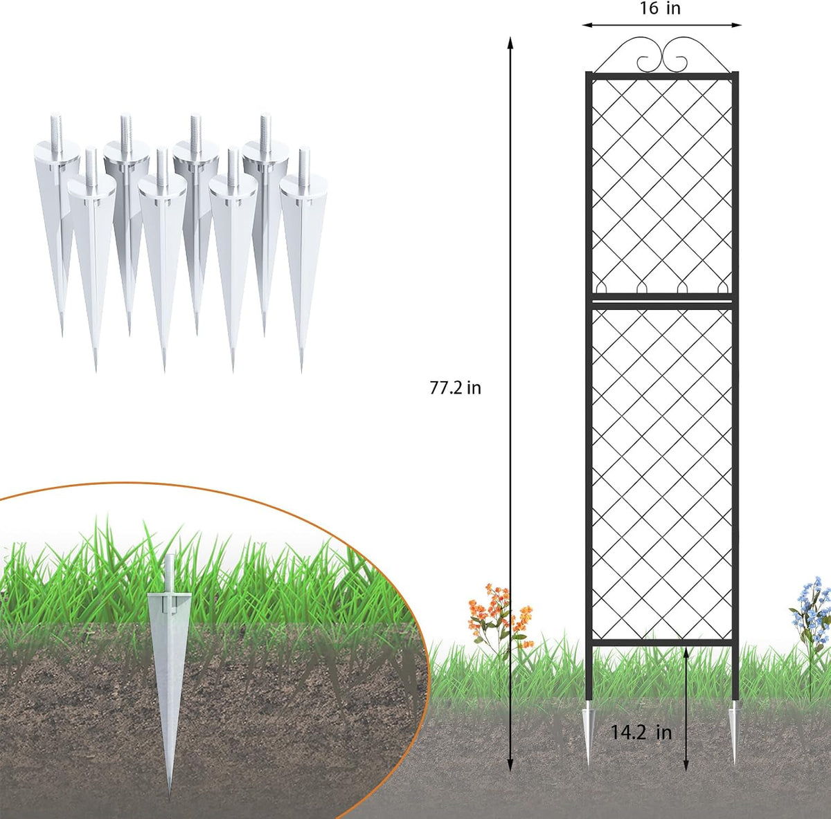 Metal Garden Trellises