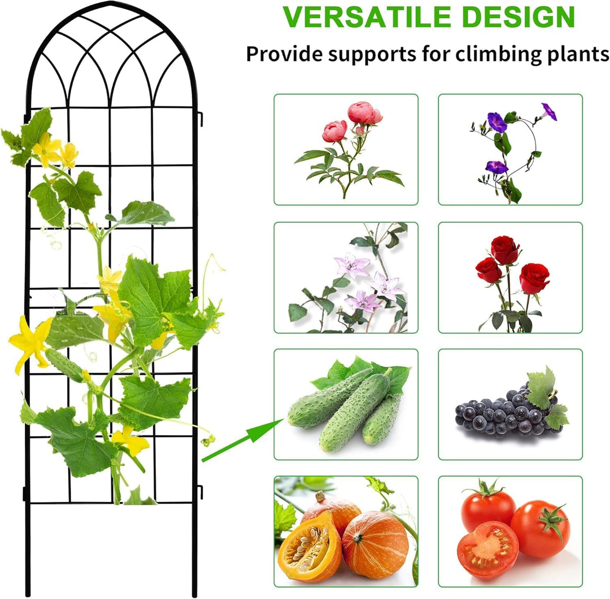 Iron Arch Garden Trellis