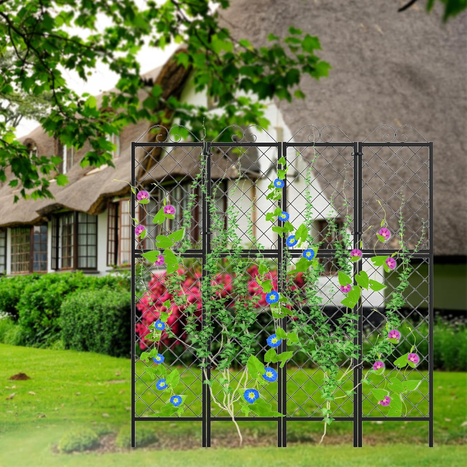Metal Garden Trellises