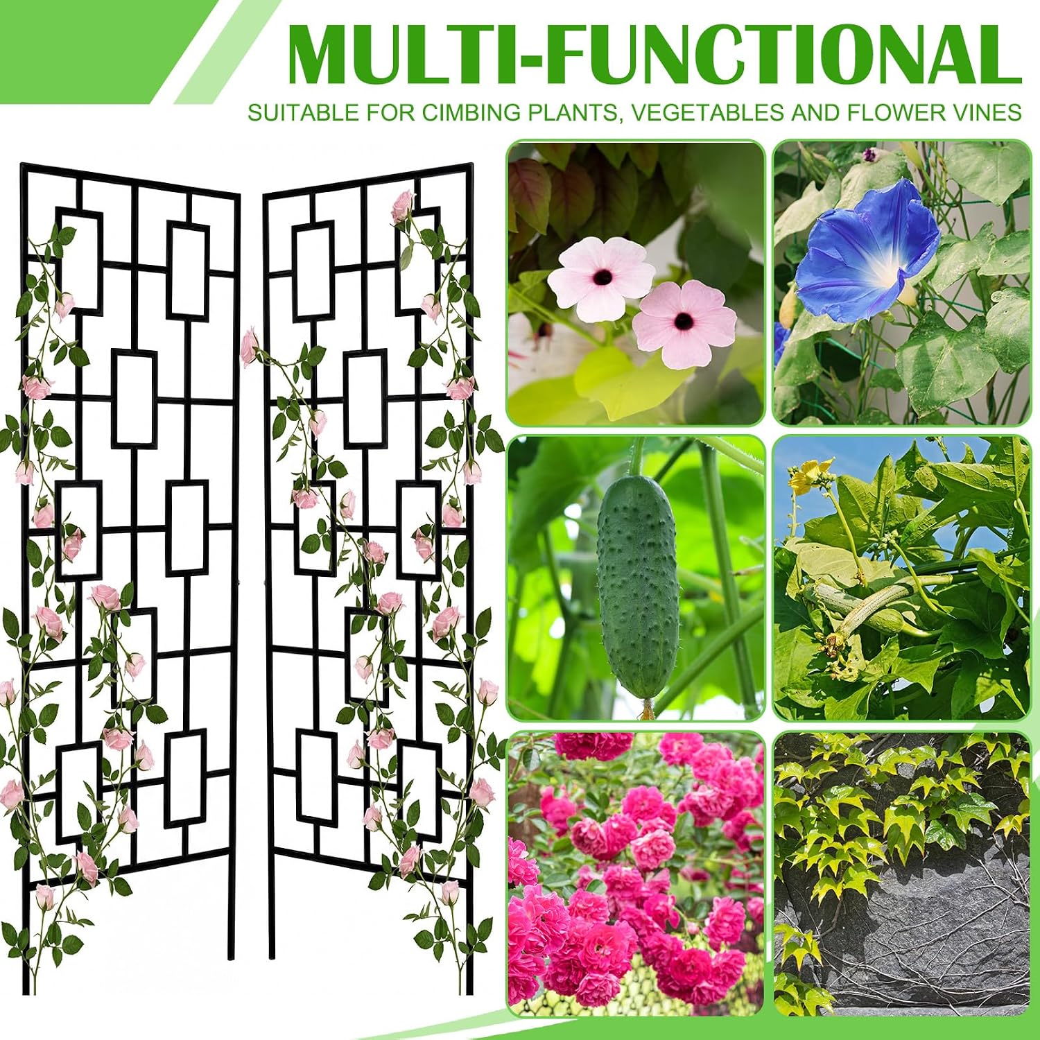 Metal Garden Trellises