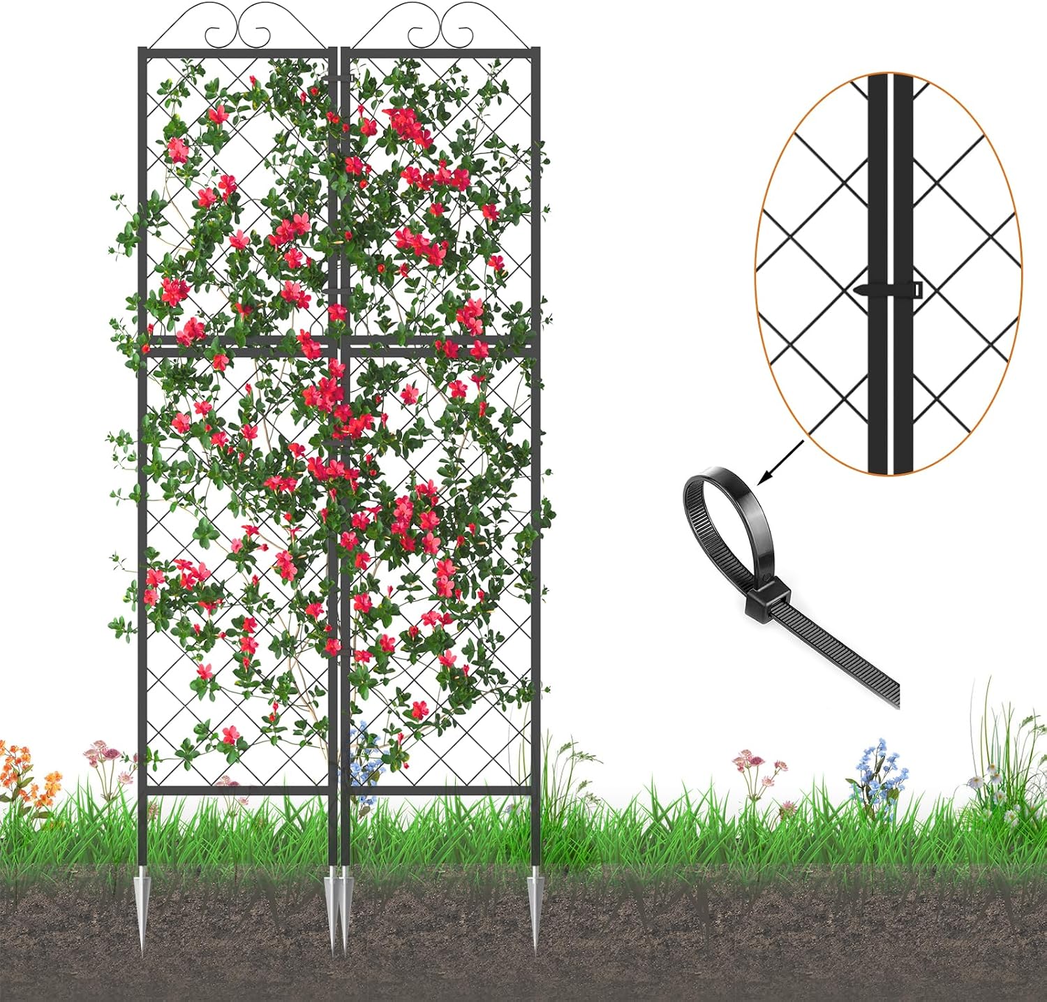 Metal Garden Trellises