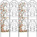Metal Garden Trellis