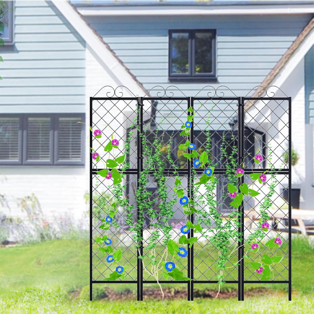 Metal Garden Trellises