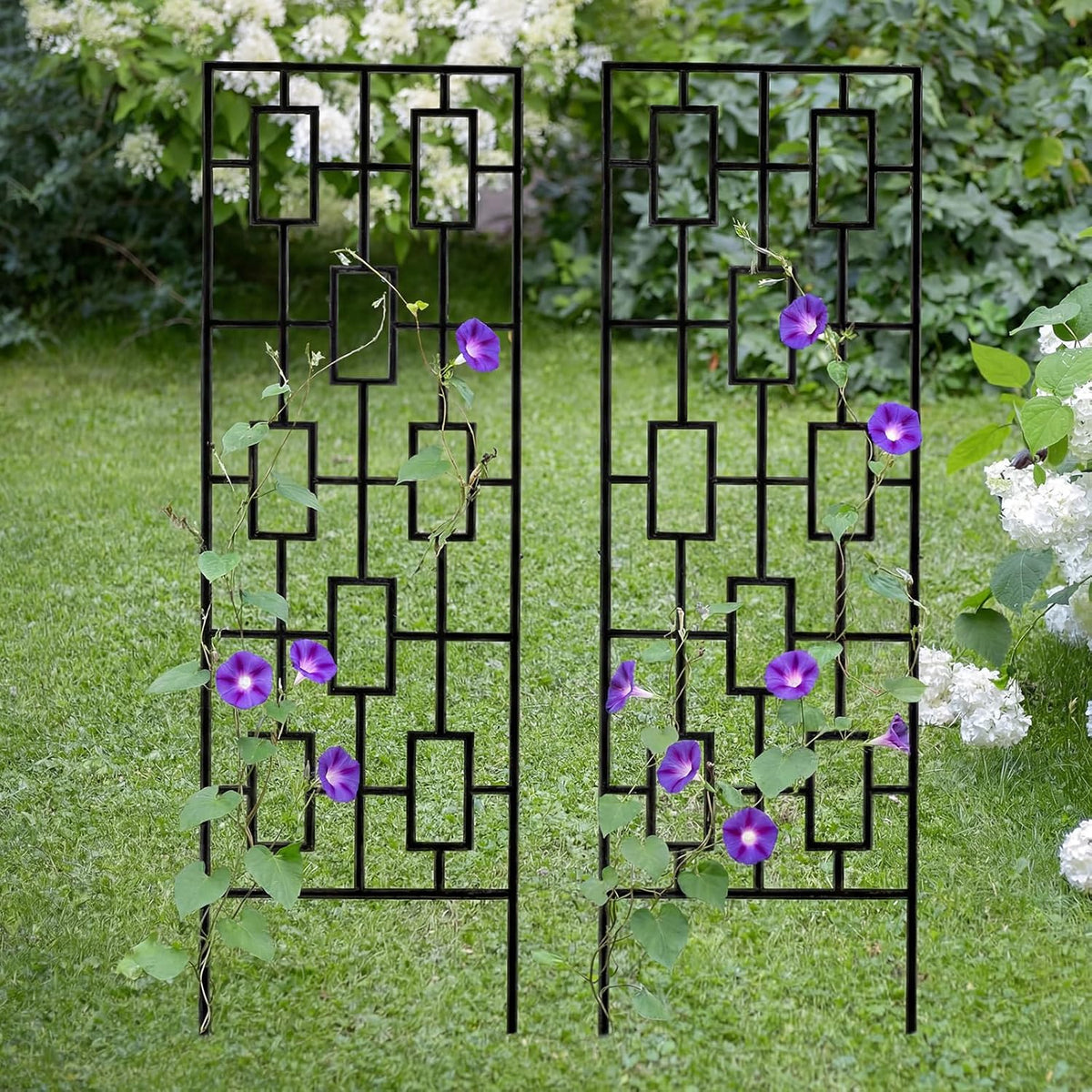 Metal Garden Trellises