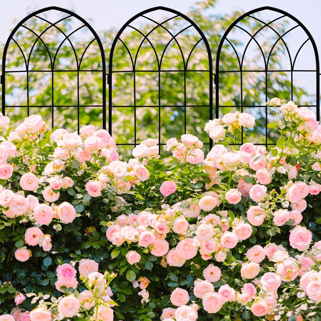 Iron Arch Garden Trellis