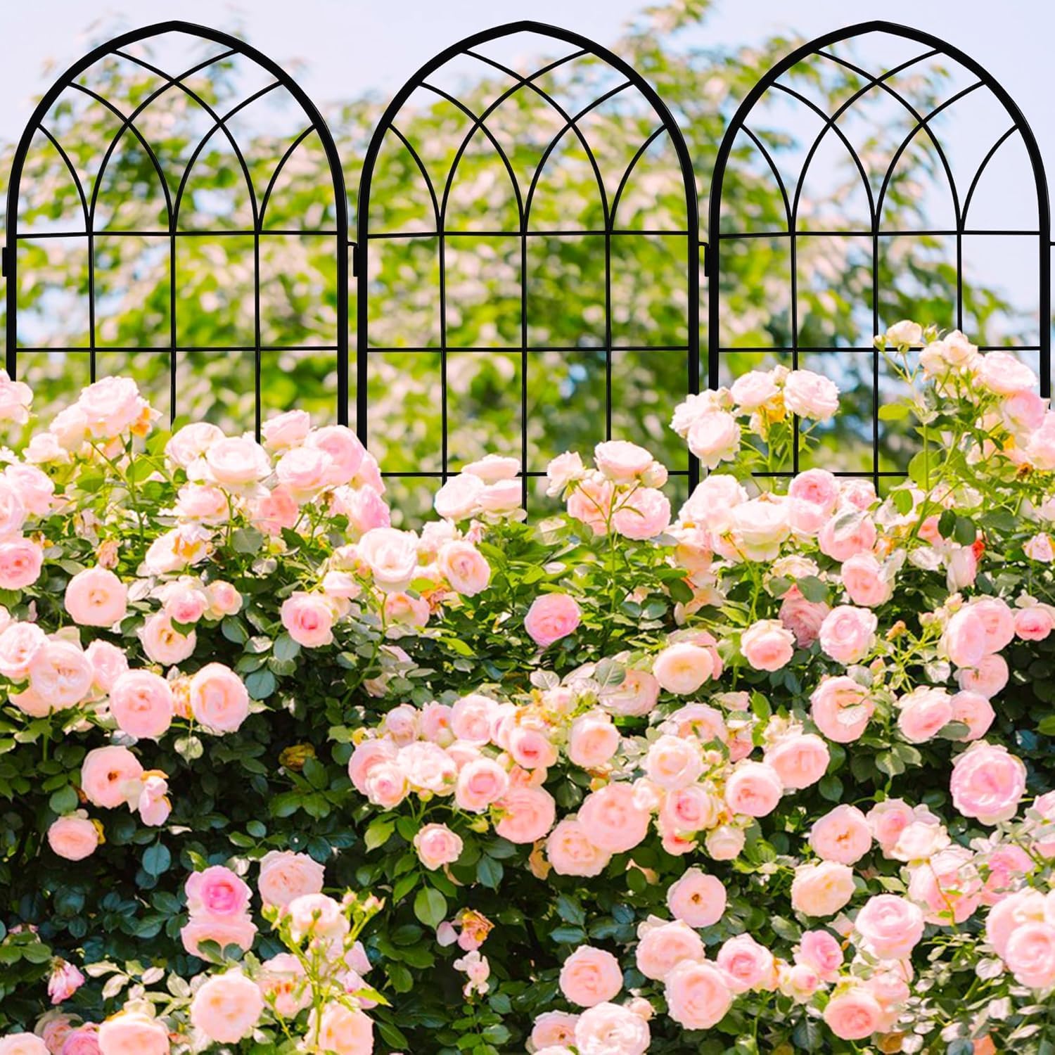 Iron Arch Garden Trellis