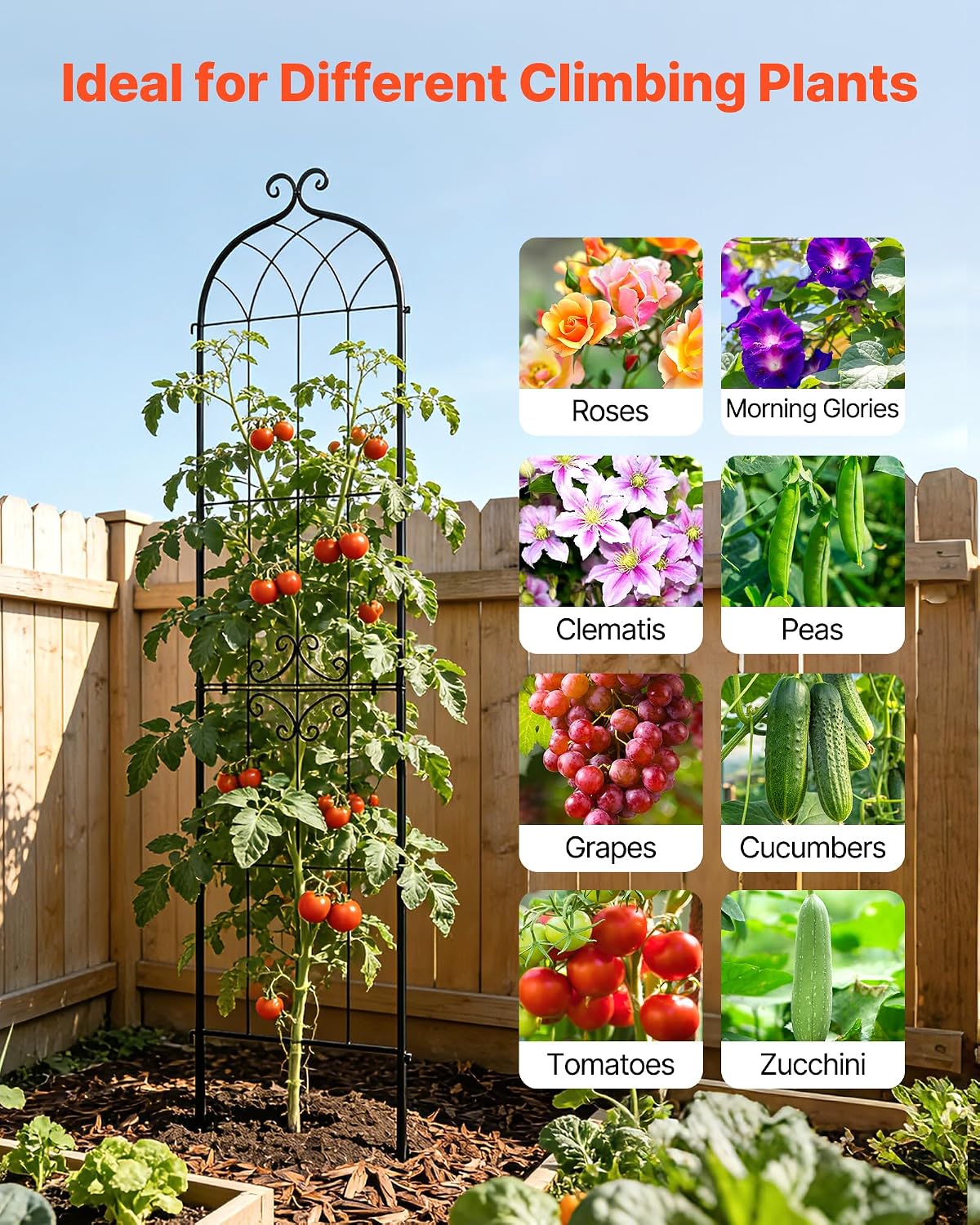 Metal Garden Trellis